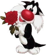 Kitty Rose GIF